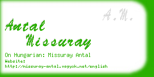 antal missuray business card